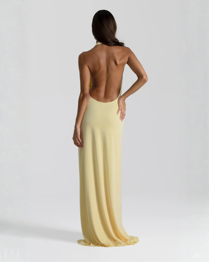 Women's Halter Neck Backless Maxi Dress - Evening Slit Gown